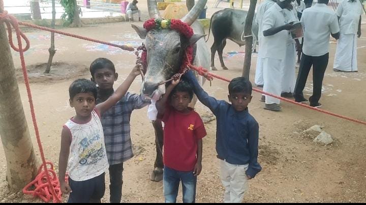 திருப்பத்தூரில் மஞ்சுவிரட்டு காளைகளுக்கான அழகுப்போட்டி