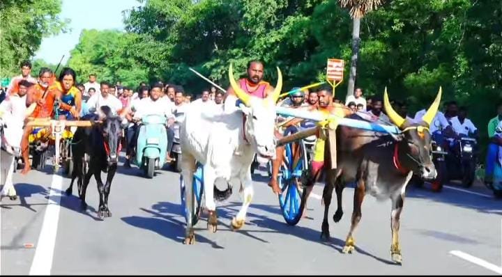சிவகங்கையில் மாட்டுவண்டிப் பந்தயம்; 52 ஜோடிகள் பங்கேற்பு 